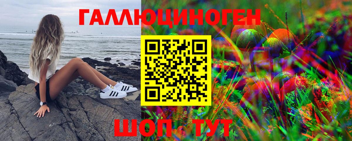Псилоцибиновые грибы Psilocybe  Галлюциногенные грибы MAGIC MUSHROOMS  Вход с VPN  Юрга 